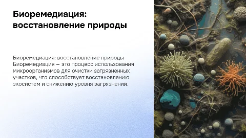Биоремедиация