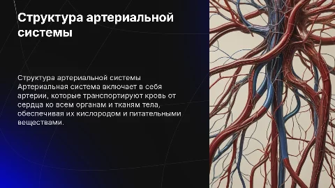 Артериальная система