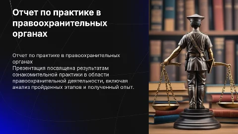 Отчет об учебной практике в правоохранительной деятельности
