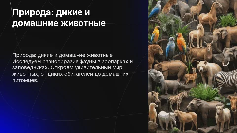 Природа: дикие и домашние животные (в зоопарке и заповеднике