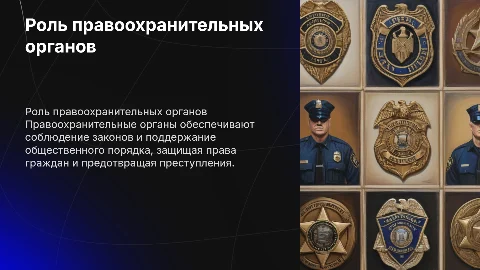 Правоохранительные органы