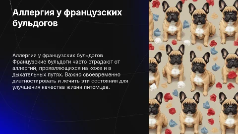 Аллергия у французских бульдогов