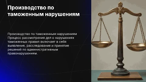 Производство по делам о нарушениях таможенных правил
