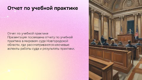 Отчет учебной практики в мировом суде Новгородской области
