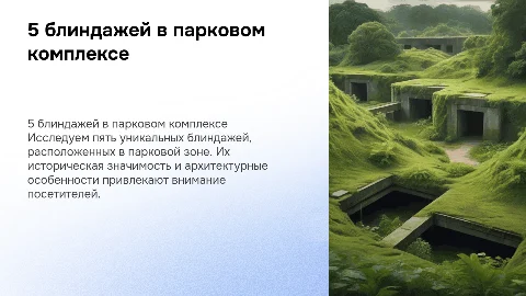 5 блиндажей на территории паркого комплекса