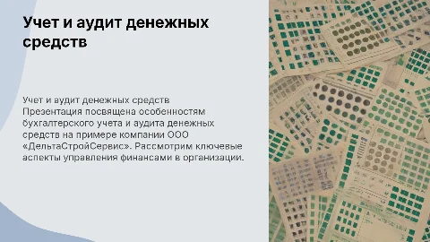 Бухгалтерский учет и аудит денежных средств в организации