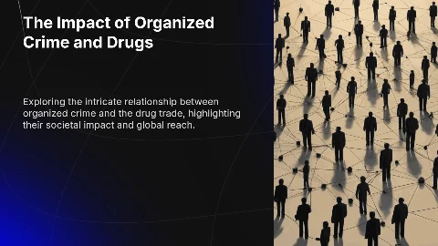 Organized Crimes and Drugs