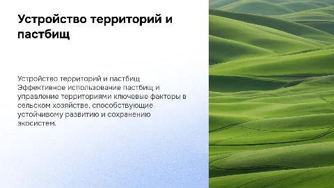 устройство территорий и пастбищ