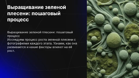 Выращивание зеленой плесени: процесс и этапы