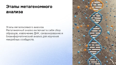 Этапы метагеномного анализа