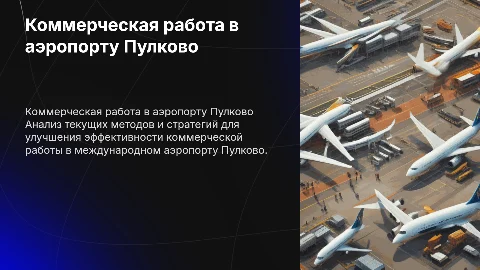 Организация коммерческой работы в аэропорту Пулково