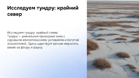 Презентация о природной зоне Тундра