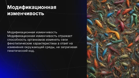 Модификационная изменчивость