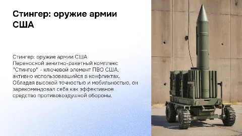 Стингер армии США: характеристики и примеры использования