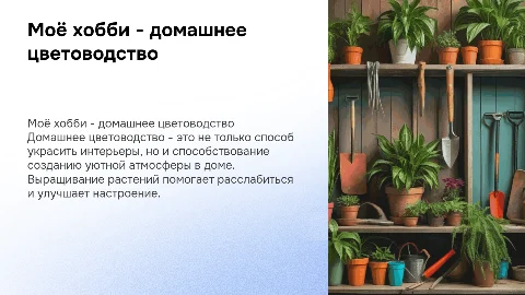 моё хобби - домашнее цветоводство