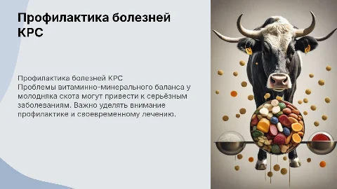 Профилактика и лечение болезней молодняка КРС