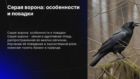 Серая ворона