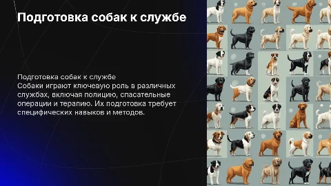 Особенности подготовки собак к разным видам служб