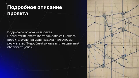 подробное описание проекта