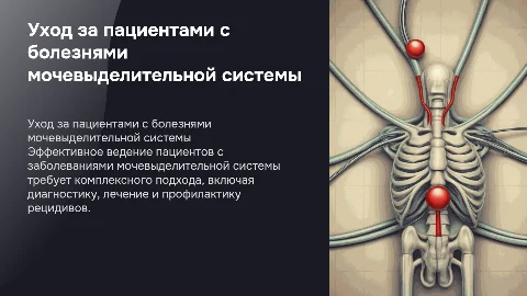 Ведение пациентов с заболеваниями мочевыделительной системы