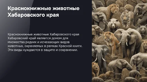 краснокнижные животные из хабаровского края
