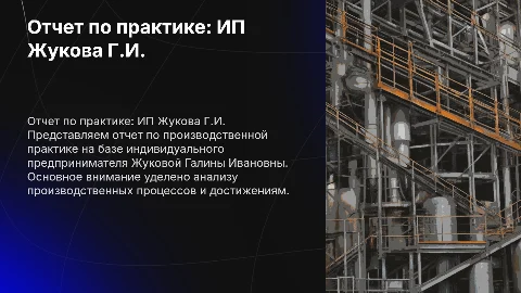 Отчет по производственной практике: ИП Жукова Галина Ивановна