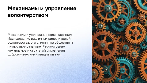Механизмы и управление волонтерством: виды и цели