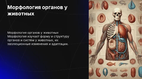 морфология органов и их систем у животных