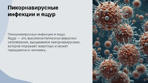 Пикорнавирусные инфекции (Возбудитель ящура)