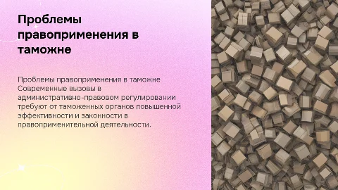 Актуальные проблемы правоприменения в таможенных органах