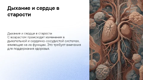 Особенности дыхательной и сердечно-сосудистой системы в старости