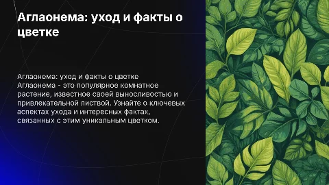 Аглаонема: уход и интересные факты о цветке