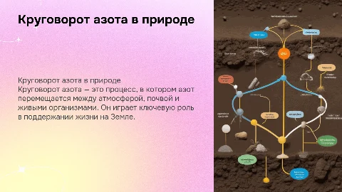 круговорот азота в природе