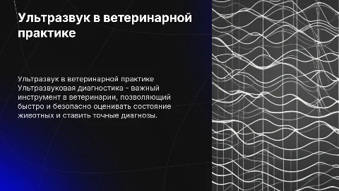 Ультразвуковая диагностика в ветеринарии