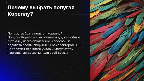Почему стоит выбрать попугая Кореллу в питомцы?