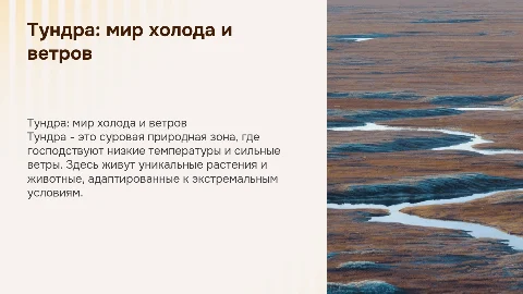 Тундра, 3 класс