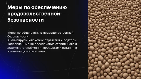 Меры по обеспечению продовольственной безопасности подробно