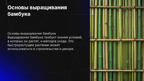 выращивание бамбука