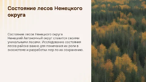 Проект на тему «Состояние лесов Ненецкого Автономного округа»