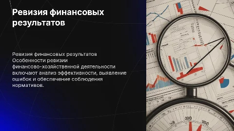 Особенности ревизии финансово-хозяйственной деятельности