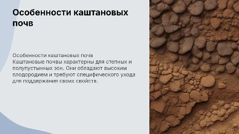 каштановые почвы