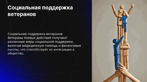 меры социальной поддержки ветеранов боевых действий