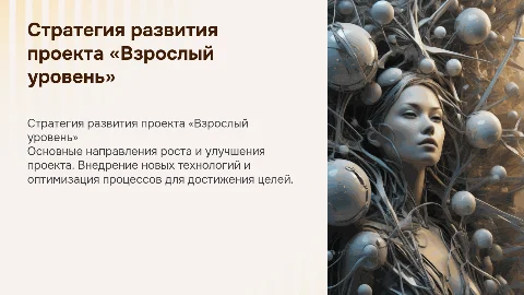 Стратегия развития проекта «Взрослый уровень»