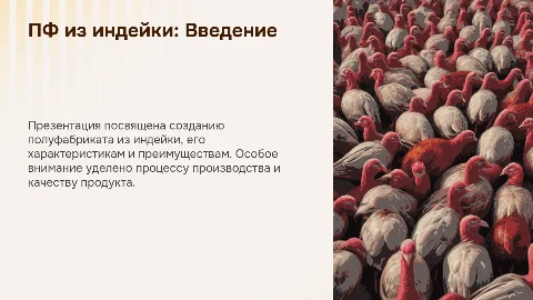 Дипломная работа: ПФ из индейки