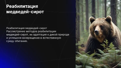 Медведи-сироты и их реабилитация