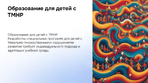 Специальные условия получения образования для детей с ТМНР
