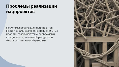 Проблемы реализации нацпроектов на региональном уровне