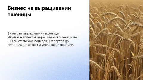 Бизнес выращивание пшеницы на площади 100 гектар