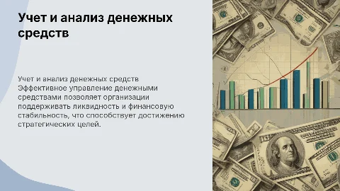 Учет и анализ денежных средств организации