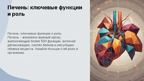 печень все о работе органа